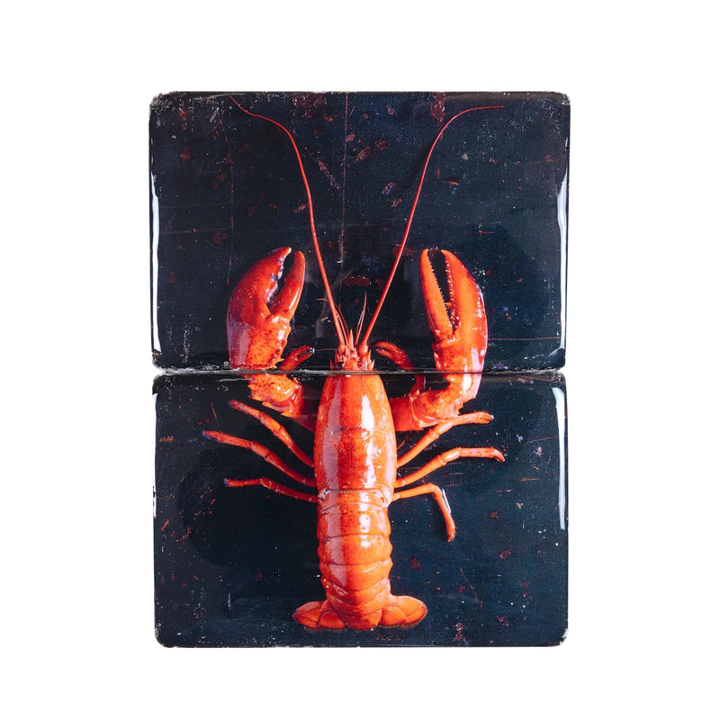 Décoration murale Homard rouge / fond noir - 29 x 40 cm