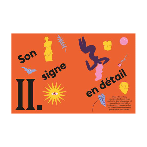Capricorn sign astrology book