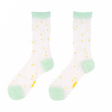 Chaussettes Transparentes 35/40 - Pâquerettes | Fleux | 3