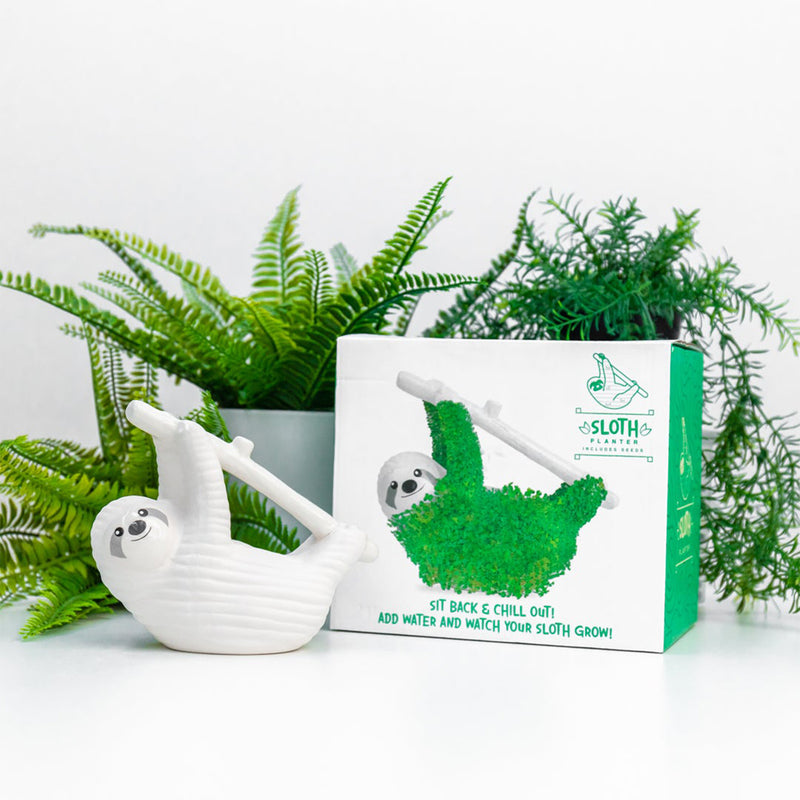 Chia Pot / Planter - Sloth