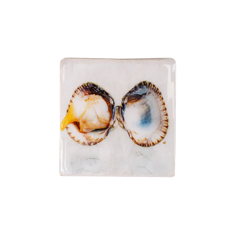Coque wall decoration - 20 x 20 cm 