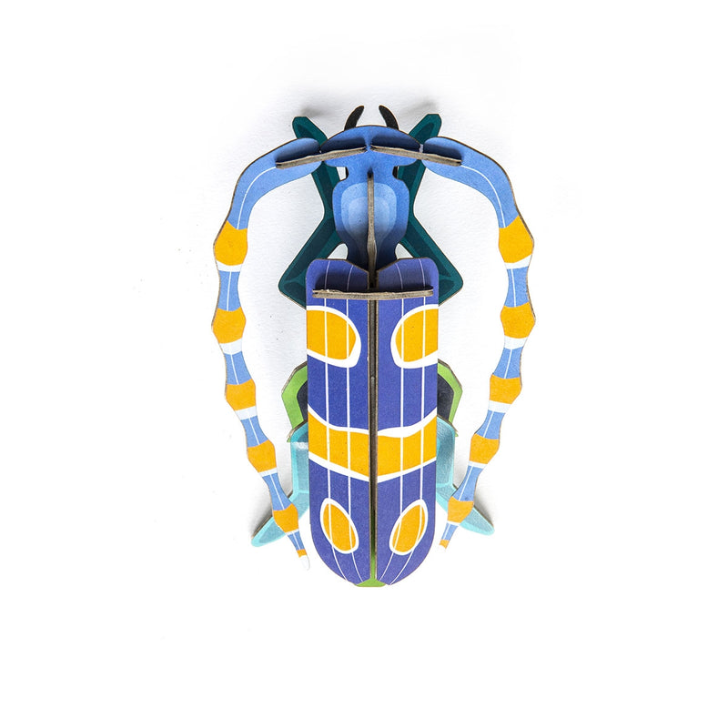 Décoration murale Rosalia Beetle