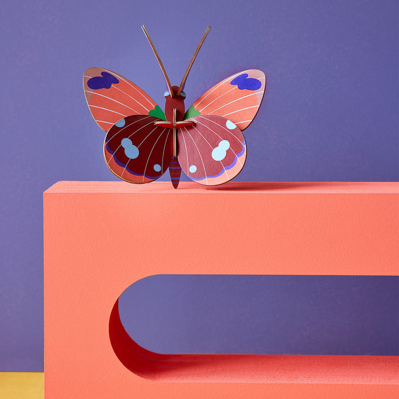 Butterfly Delias wall decoration in recycled cardboard