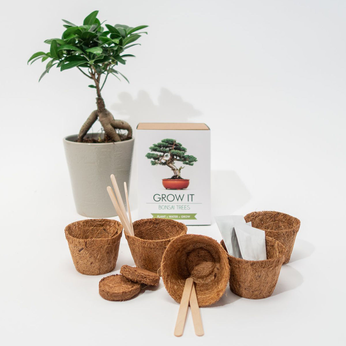 Grow It Bonsai Kit – Fleux