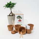 Kit Grow It Bonsai | Fleux | 7
