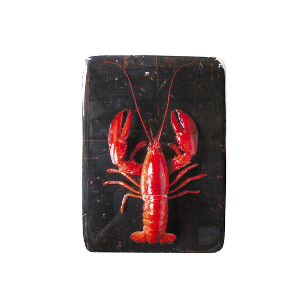 Red lobster wall decoration / black background - 20 x 29 cm