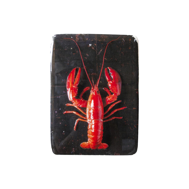 Red lobster wall decoration / black background - 20 x 29 cm
