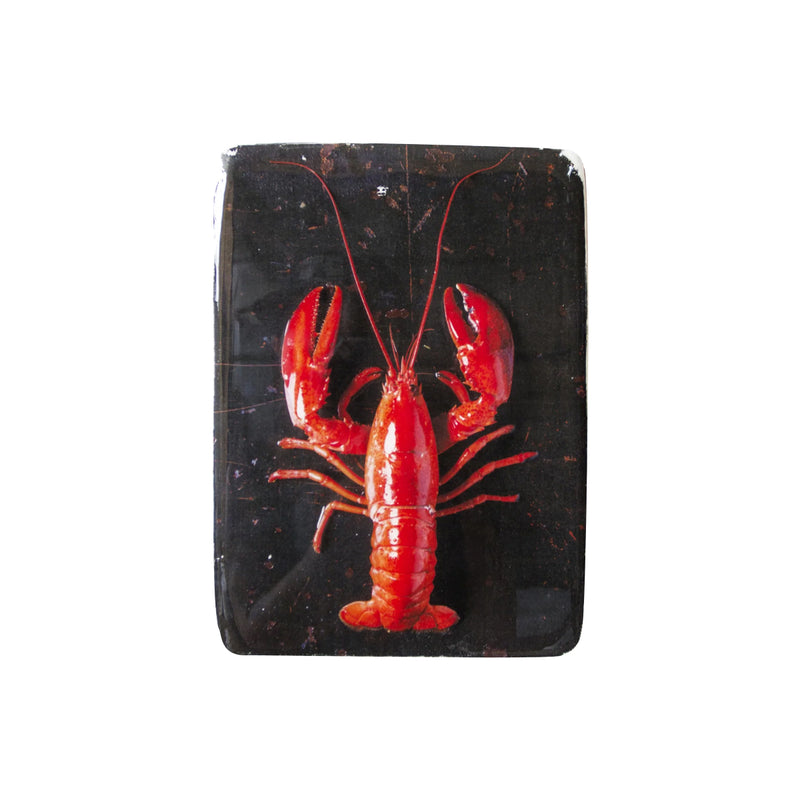 Décoration murale Homard rouge / fond noir - 20 x 29 cm