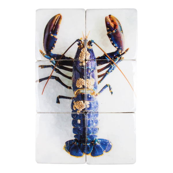 Blue lobster wall decoration / white background - 40 x 60 cm 