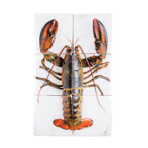 Lobster on ice wall decoration / white background - 40 x 60 cm