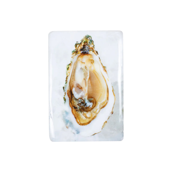 Oysters wall decoration - 20 x 29 cm