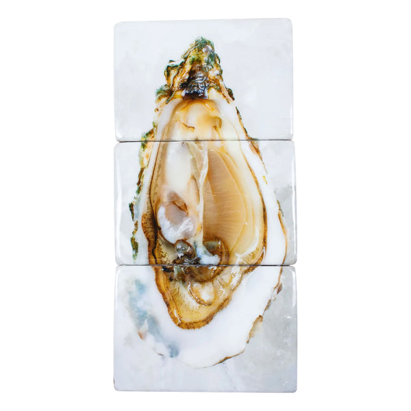 Oysters wall decoration - 29 x 60 cm 