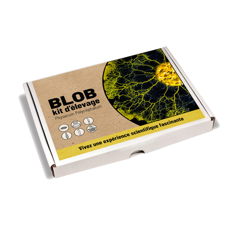 Kit d'élevage Blob