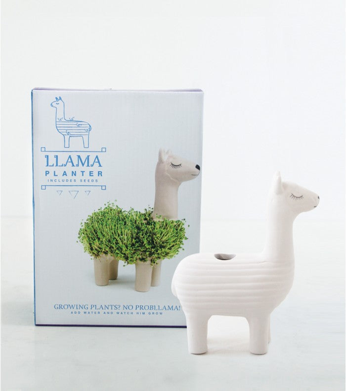 llama pot plant Potty Llama| Flow – Fleux