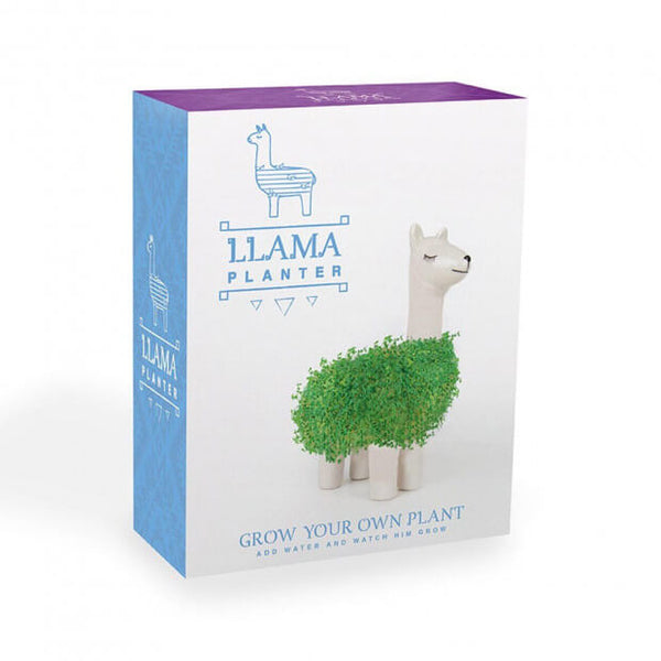 llama planter chia seeds Potty Llama| Flow – Fleux
