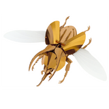Golden Atlas Beetle Origami Trophy | Fleux | 2