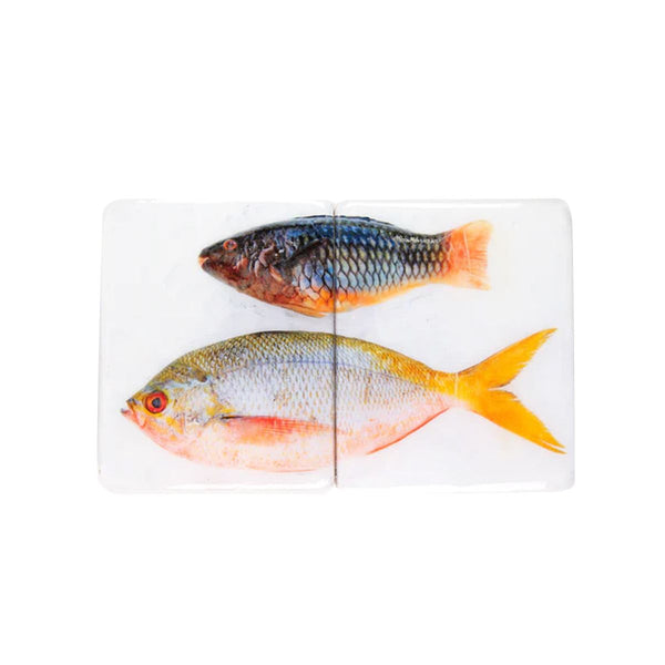 Wall decoration Parrotfish and Fusilier on a white background - 40 cm x 24 cm