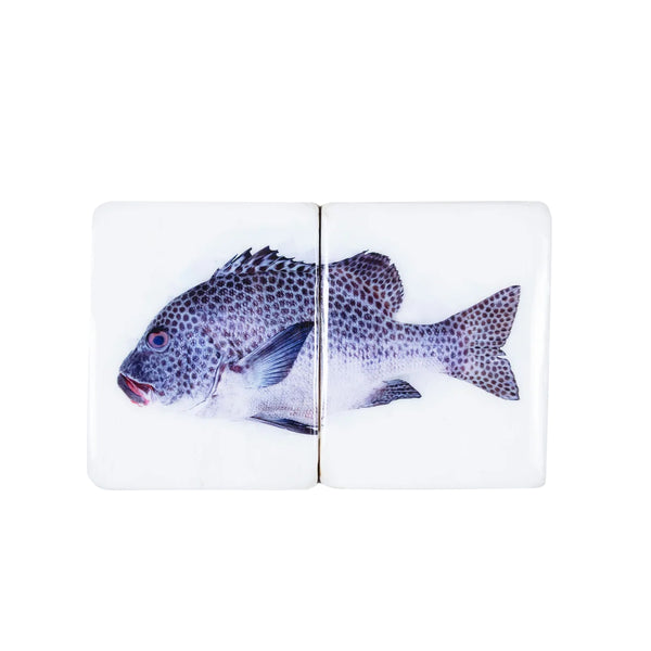Harlequin fish wall decoration on a white background - 40 cm x 20 cm