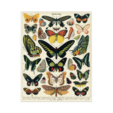 Puzzle Papillons - 1000 pièces | Fleux | 3