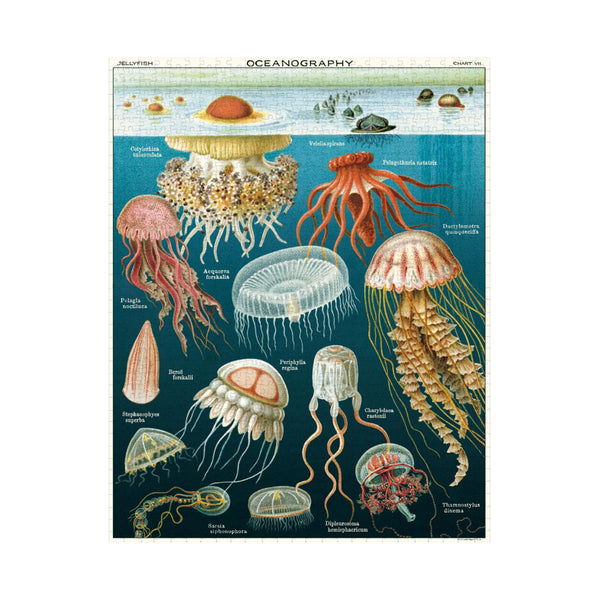 Jellyfish Puzzle - 1000 pieces 