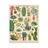 Puzzle Succulentes - 1000 pièces | Fleux | 3