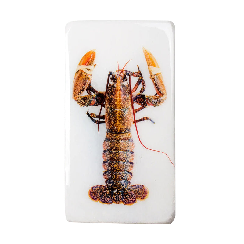 Yellow lobster wall decoration / white background - 20 x 35 cm