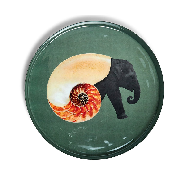 Plateau rond Shellphant