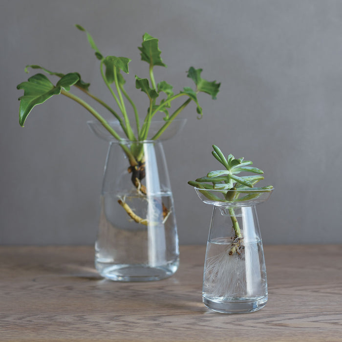 Aqua Culture PM Vase - Gray